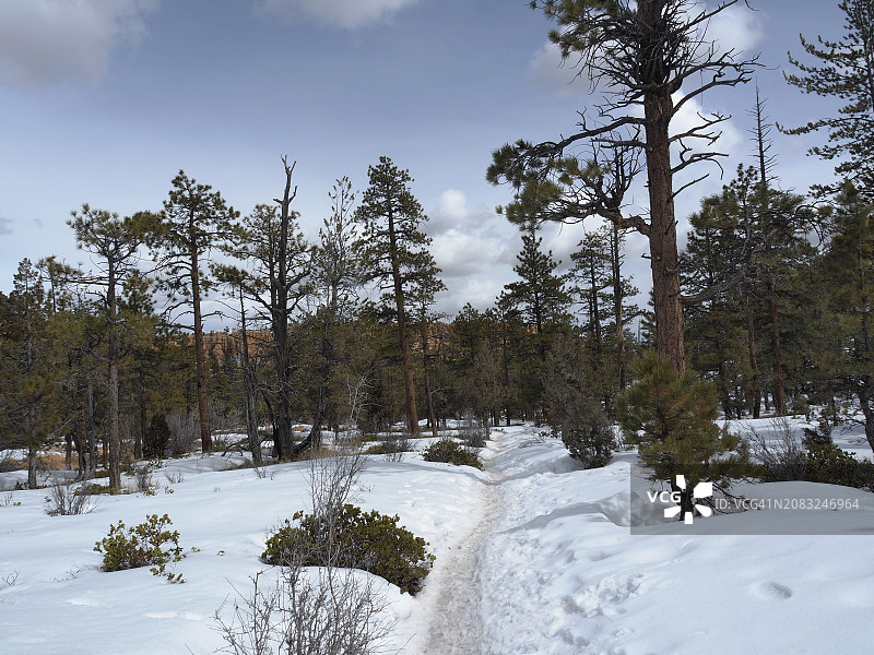 犹他州布莱斯峡谷国家公园的雪景图片素材
