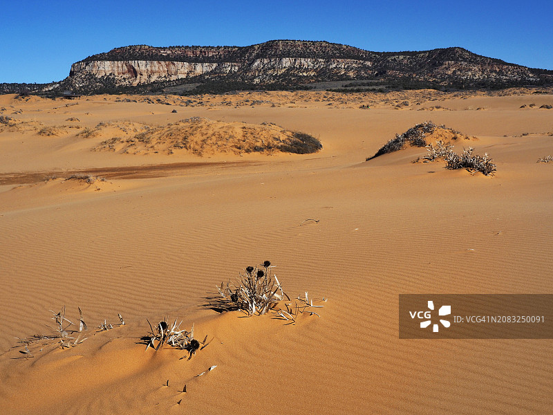 犹他州珊瑚粉红沙丘州立公园图片素材