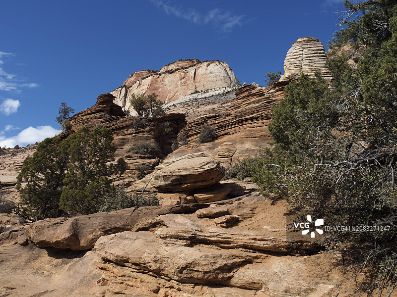 锡安国家公园松溪小径峡谷景观图片素材