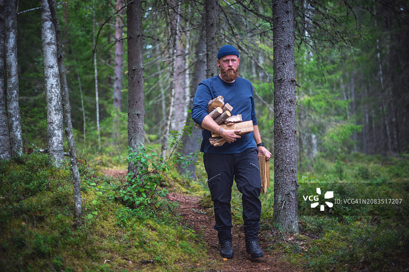 收集木柴图片素材