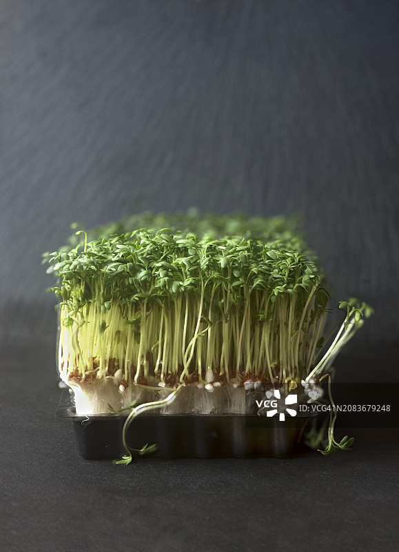 一盒西洋菜图片素材