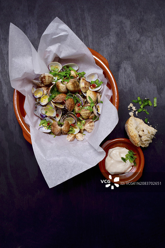 香草蛤蜊图片素材