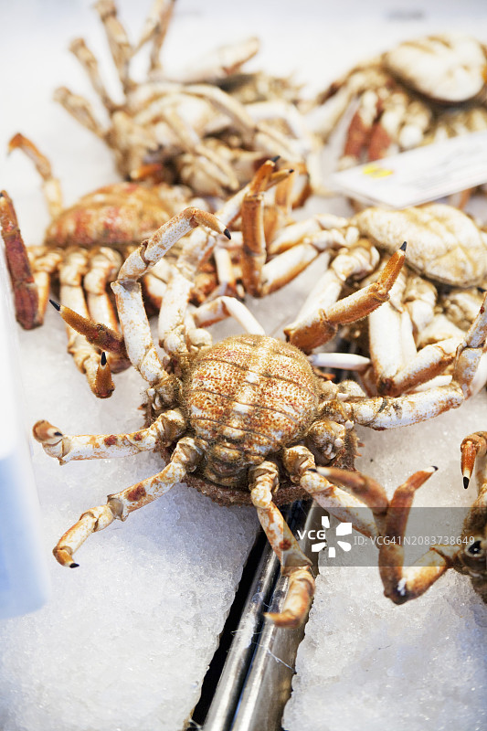 市场上的螃蟹图片素材