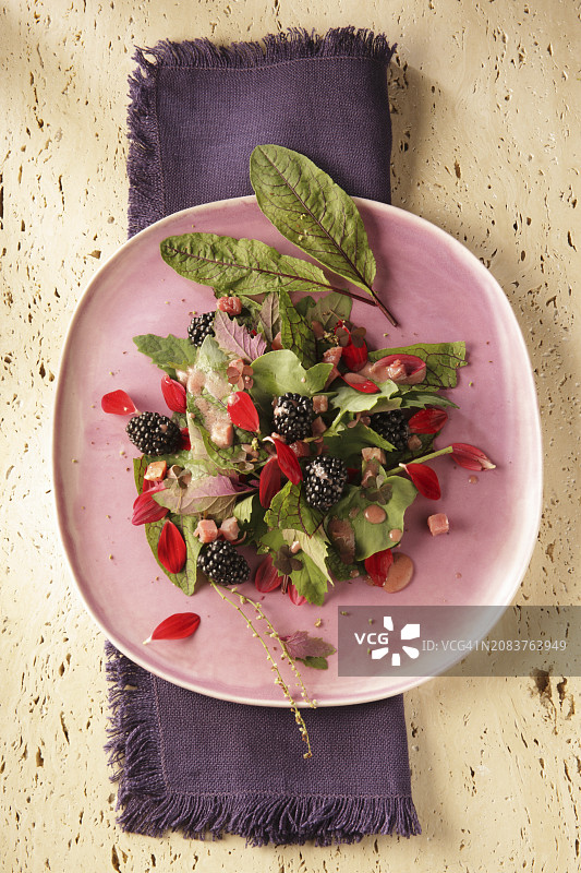 秋季沙拉配血 Dock、Orache、酢浆草和黑莓图片素材