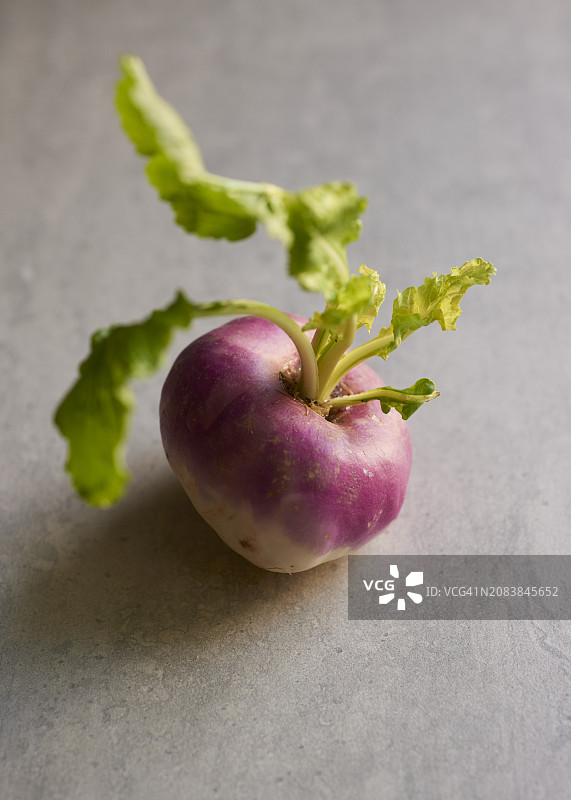 一个白色芜菁图片素材