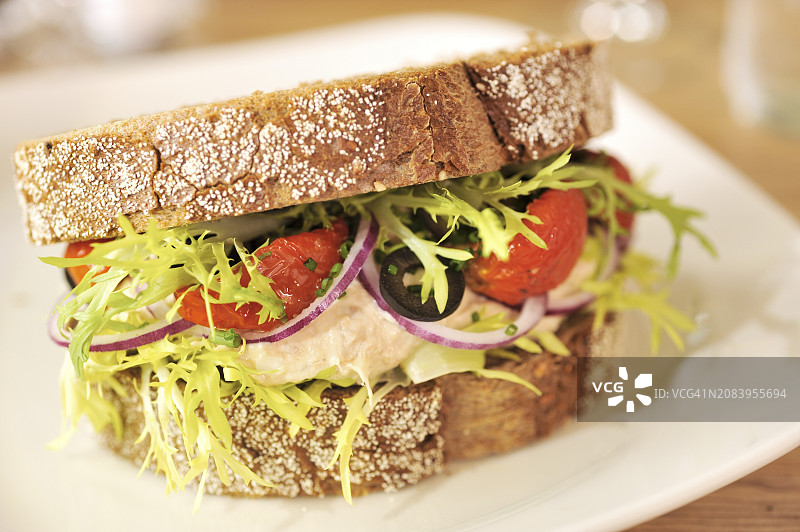 鲭鱼蛋黄酱三明治配番茄干橄榄、红洋葱和沙拉图片素材