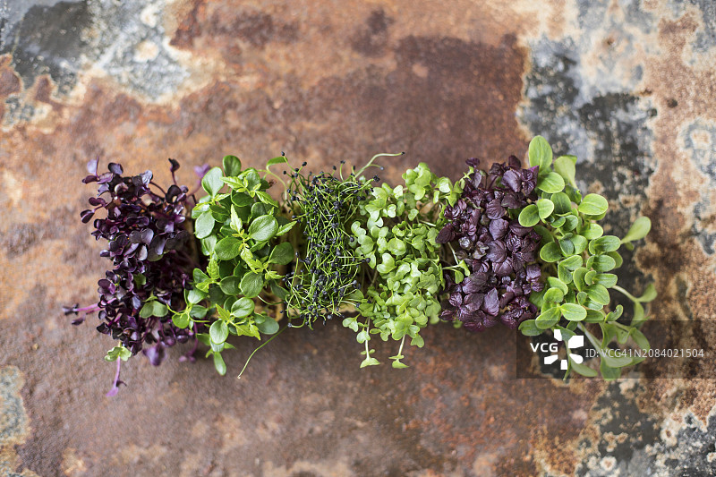 不同品种的豆瓣菜（俯视）图片素材