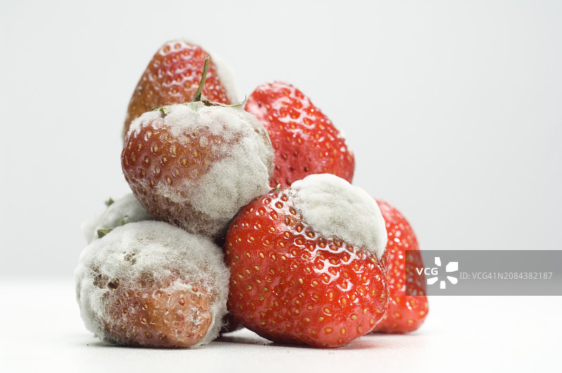 发霉的草莓图片素材