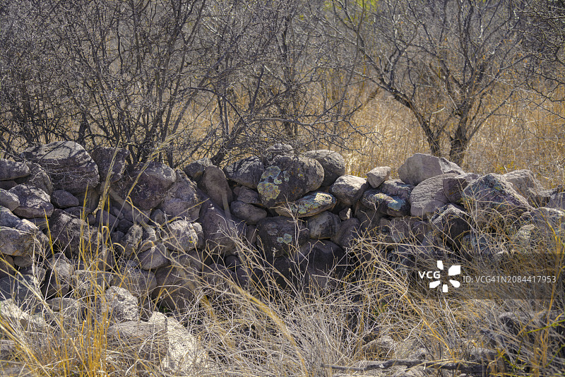亚利桑那州南部圣克鲁斯县乡村风光图片素材