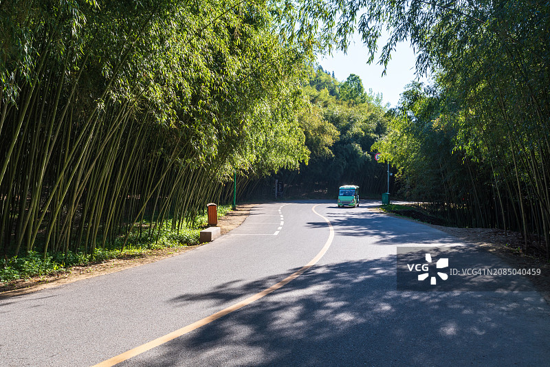 栾川县重渡沟景区竹林公路风光图片素材