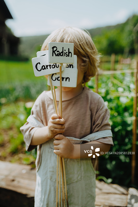 男孩拿着蔬菜植物标签，上面写着胡萝卜、萝卜、欧洲防风、土豆、洋葱、玉米、辣椒图片素材