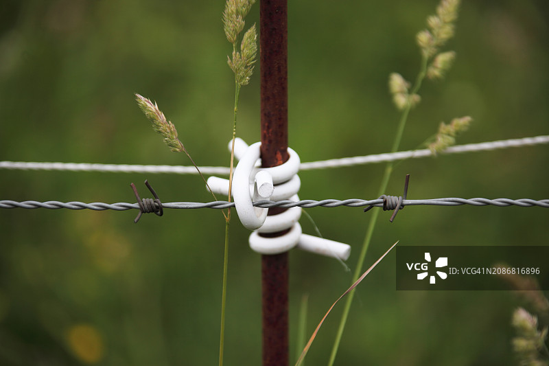 自然中栅栏上带刺铁丝网的孔眼图片素材
