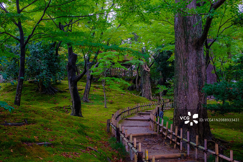 日式花园小径图片素材