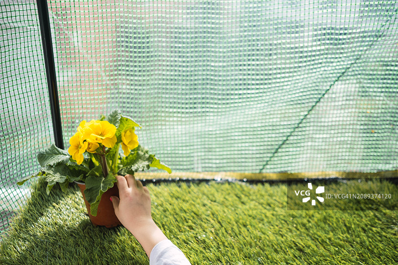 手持一盆开着黄色花朵的盆栽的人图片素材