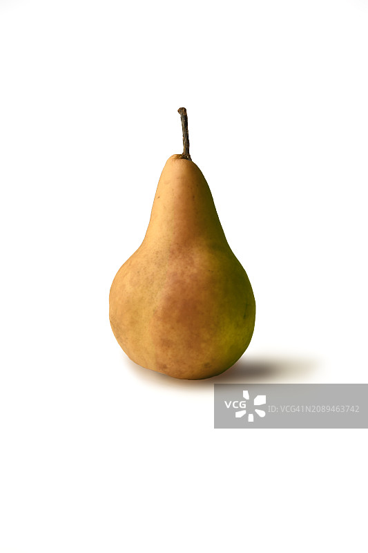 英国协和梨图片素材