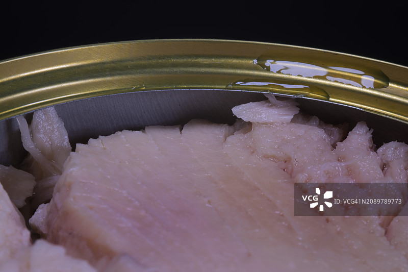 长鳍金枪鱼图片素材