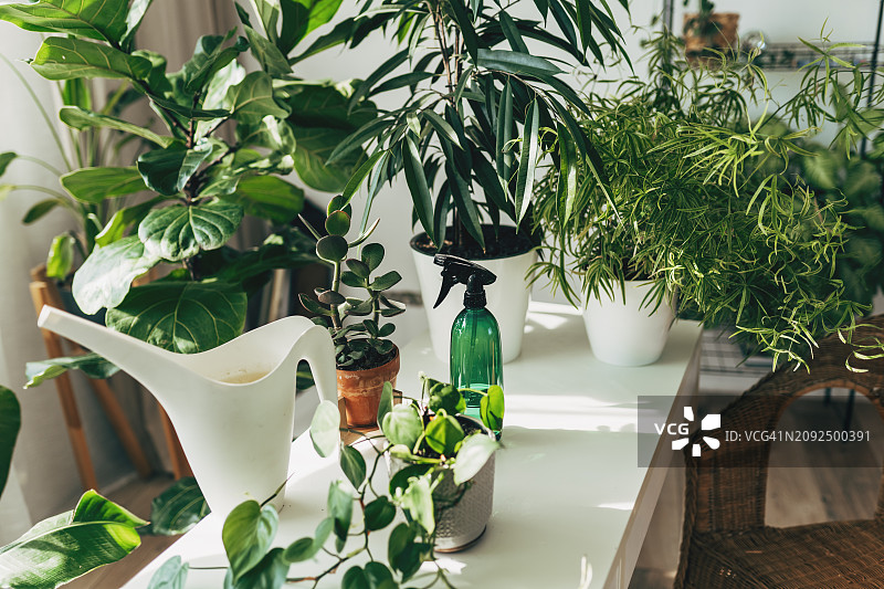 带木制控制台客厅的室内设计图片素材