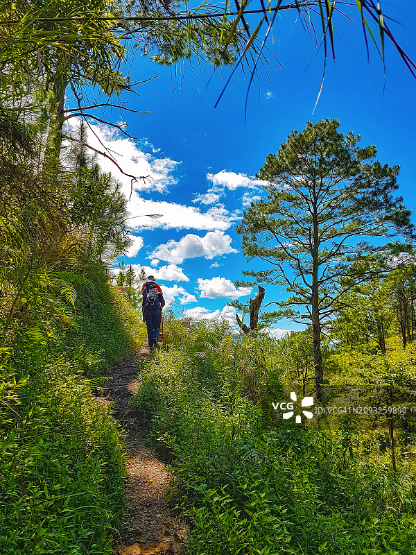 菲律宾吕宋岛普拉格山国家公园安邦格峰顶小径风光图片素材