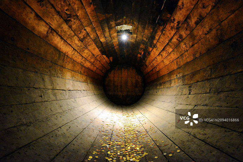 在葡萄酒桶里图片素材