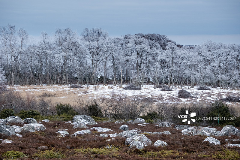 冰川漂砾，位于芬兰土尔库群岛尤尔莫岛的冰冻内陆湖和冰白树木前，波罗的海图片素材