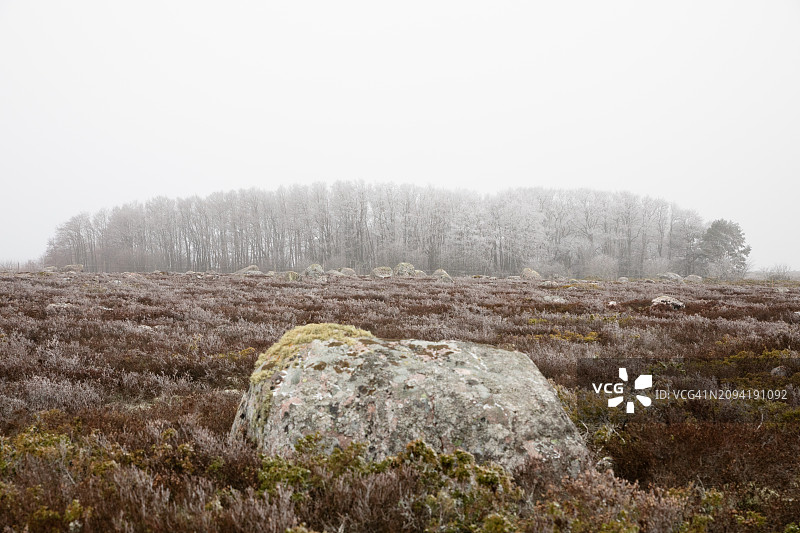 寒冷波罗的海冰冻景观：冰冻的白色树木和冰冷尤尔莫岛上的巨大冰川漂砾，位于芬兰图尔库群岛图片素材