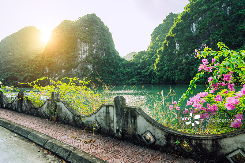 越南下龙湾的宁静早晨与葱郁的自然风光图片素材