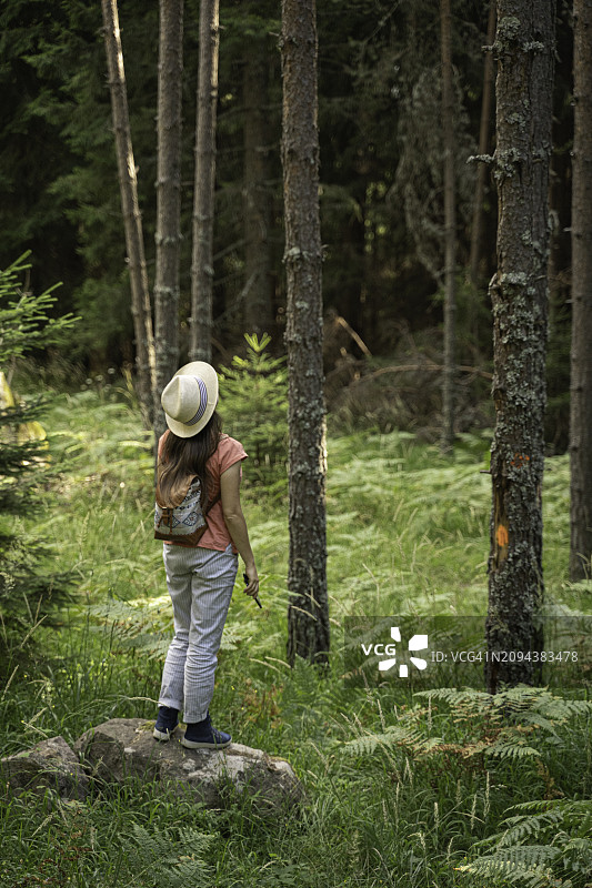独自旅行回归自然：晴天森林徒步图片素材