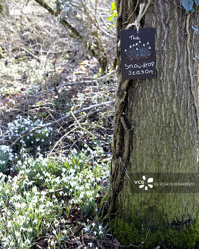 诺福克郡的常态图片素材