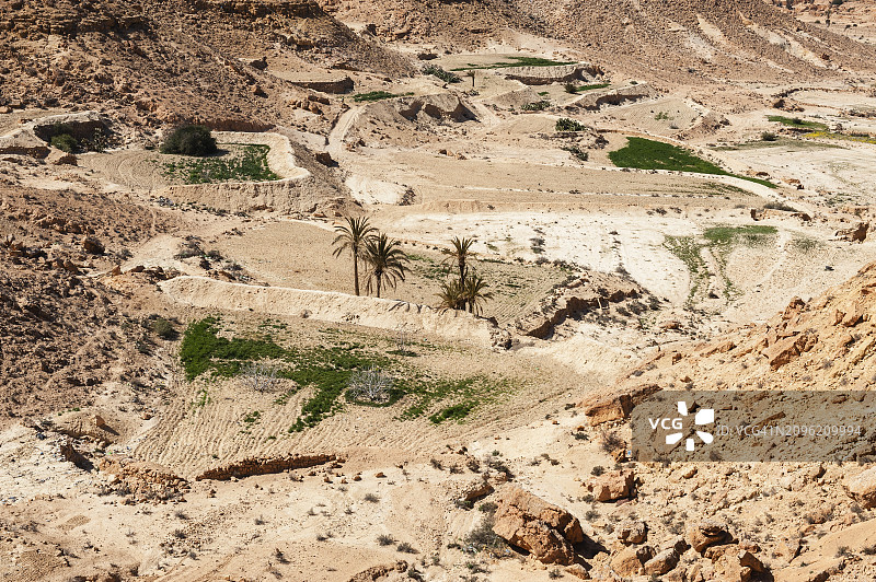 沙漠农业图片素材