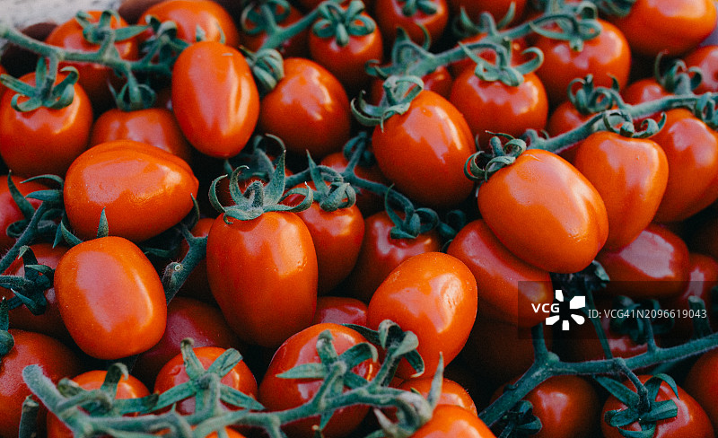 番茄特写图片素材