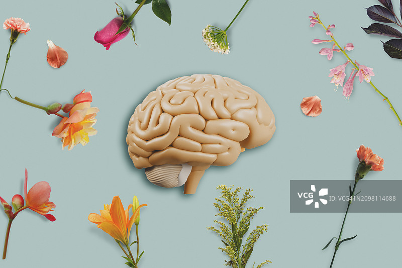大脑与鲜花图片素材