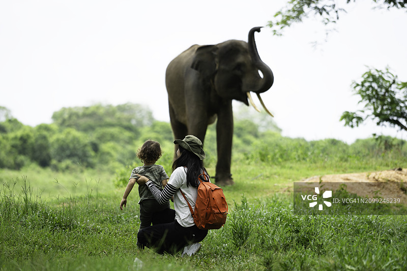 瓦伊坎巴斯国家公园，亚洲女人和孩子观察大象图片素材