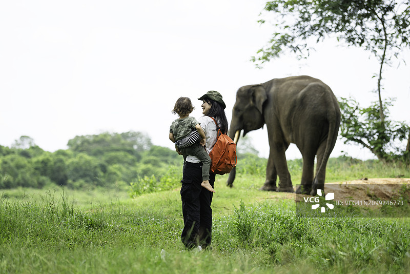 瓦伊坎巴斯国家公园，亚洲女人和孩子观察大象图片素材
