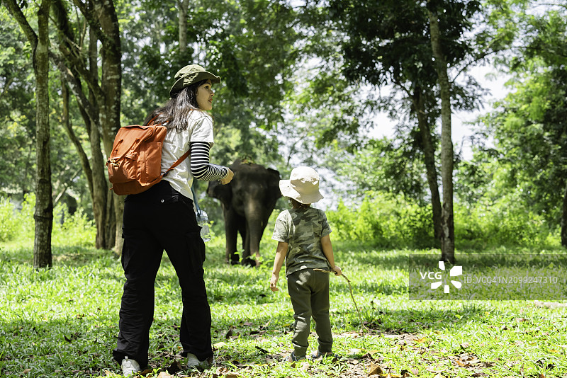 瓦伊坎巴斯国家公园，亚洲女人和孩子观察大象图片素材