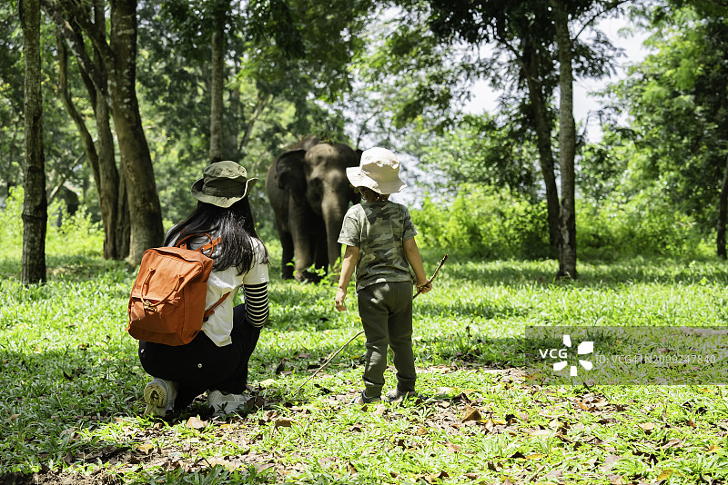 瓦伊坎巴斯国家公园，亚洲女人和孩子观察大象图片素材