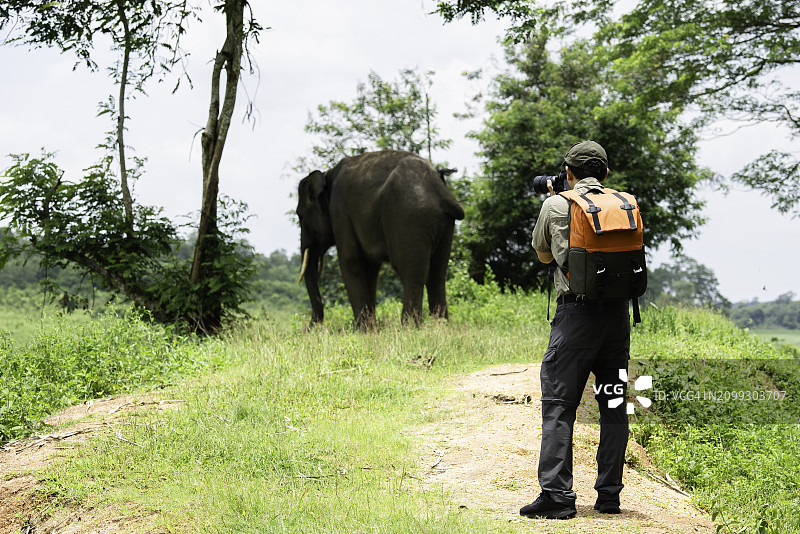 苏门答腊岛 Way Kambas 国家保护区，摄影师在森林中拍摄大象图片素材