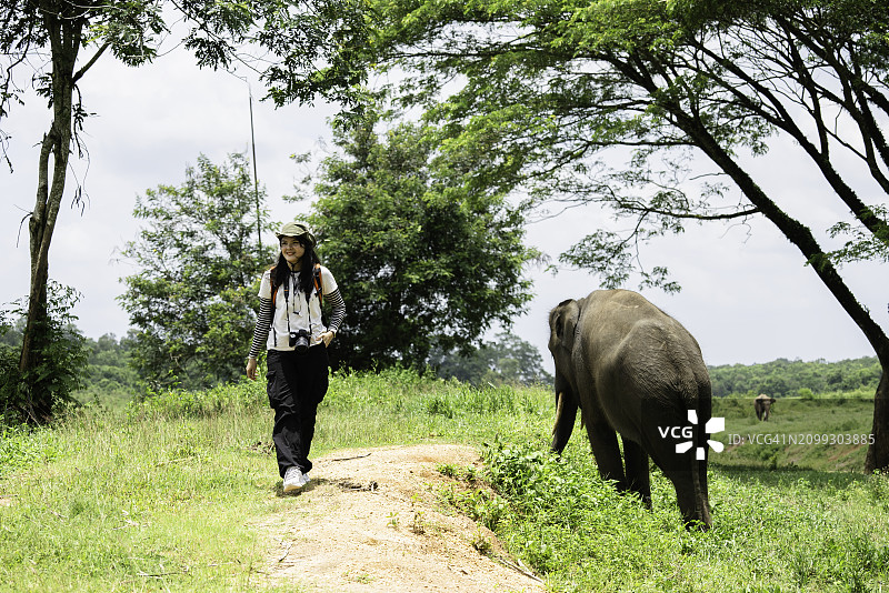 在徒步旅行中观看大象的亚洲女人图片素材