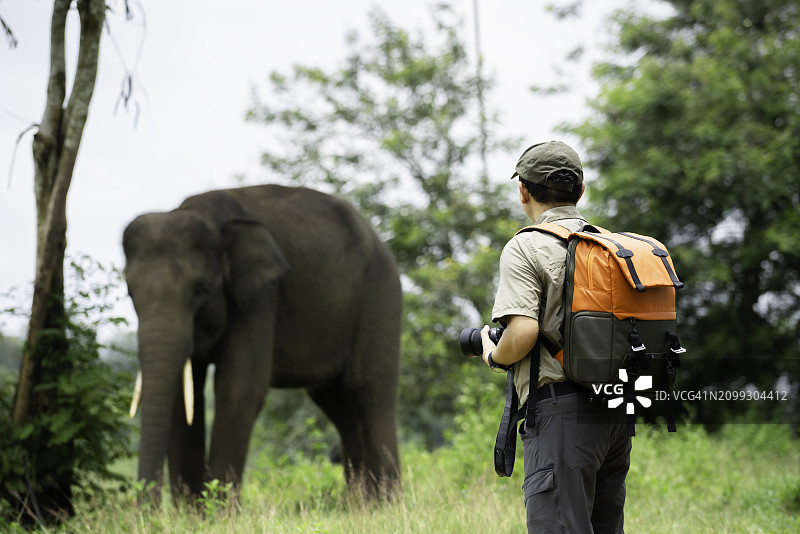 苏门答腊岛 Way Kambas 国家保护区，摄影师在森林中拍摄大象图片素材