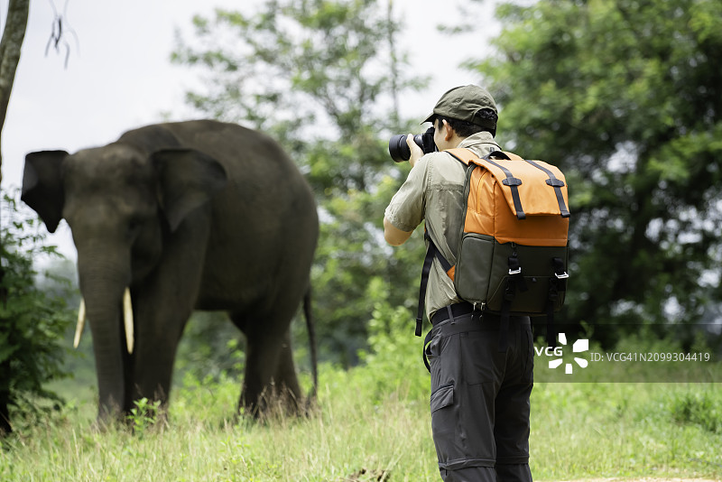 苏门答腊岛 Way Kambas 国家保护区，摄影师在森林中拍摄大象图片素材