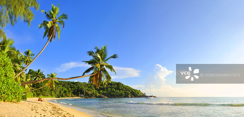 塞舌尔马埃岛塔卡马卡海滩图片素材
