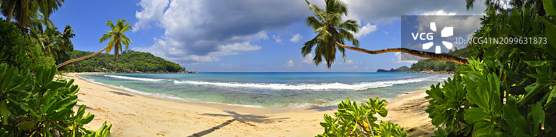 塞舌尔马埃岛塔卡马卡海滩图片素材