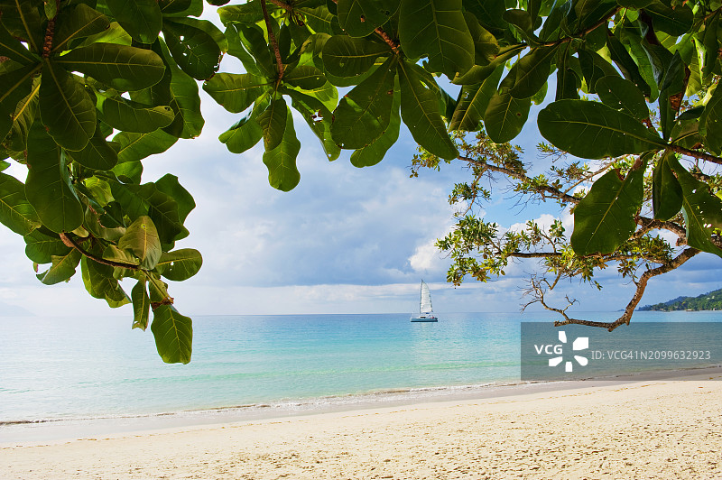 塞舌尔马埃岛博瓦隆海滩图片素材