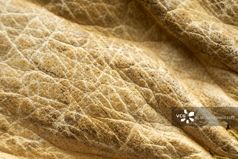 耐用型皮革安全手套图片素材