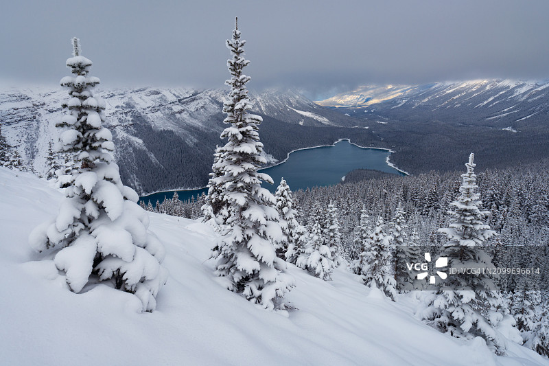 加拿大艾伯塔省班夫国家公园降雪后的沛托湖图片素材