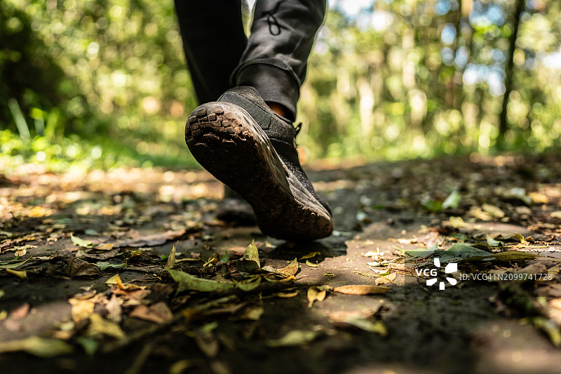 在森林里徒步的男人图片素材