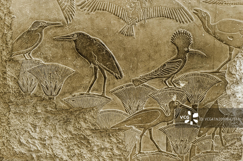 石板上的象形文字，鸟类，动物，朱鹭，信息，绘画，埃及，王国，古代，世界历史，历史，传统，文化，文化史，石头，符号，语言，彩色，女王，雕塑，陵墓，开罗，埃及，非洲图片素材