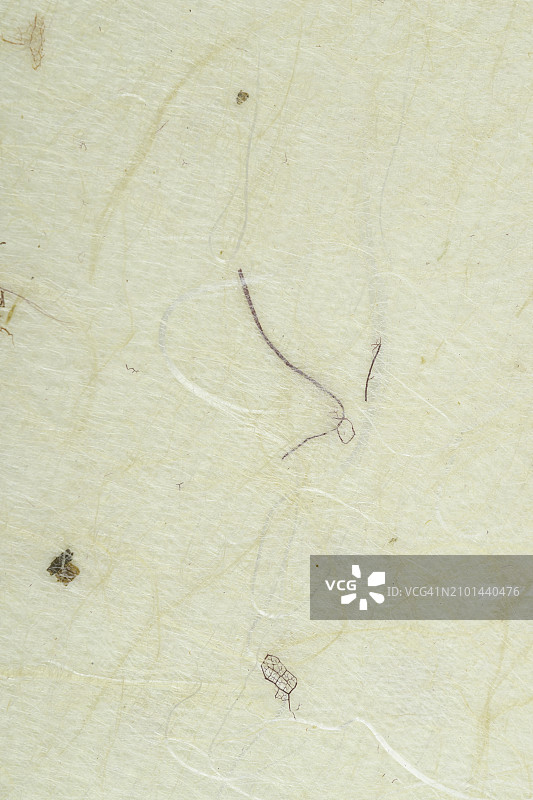 桑树纸纹理背景特写图片素材