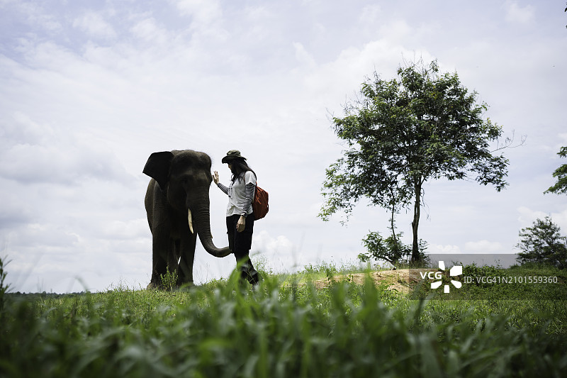 亚洲女人爱抚亚洲象图片素材