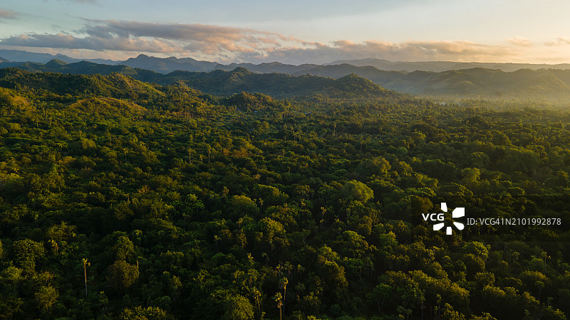 东努沙登加拉松巴岛的绿色丛林图片素材