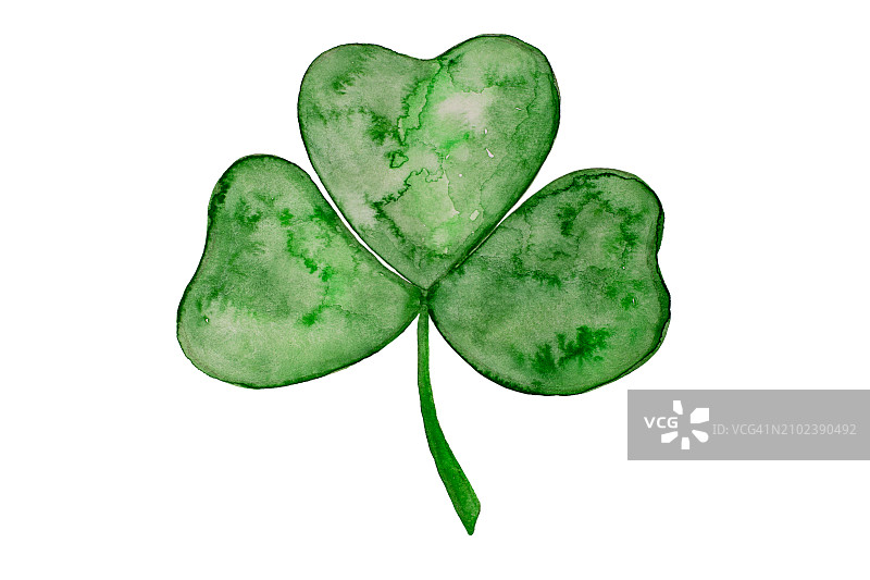 手绘水彩三叶草，圣帕特里克节概念图片素材